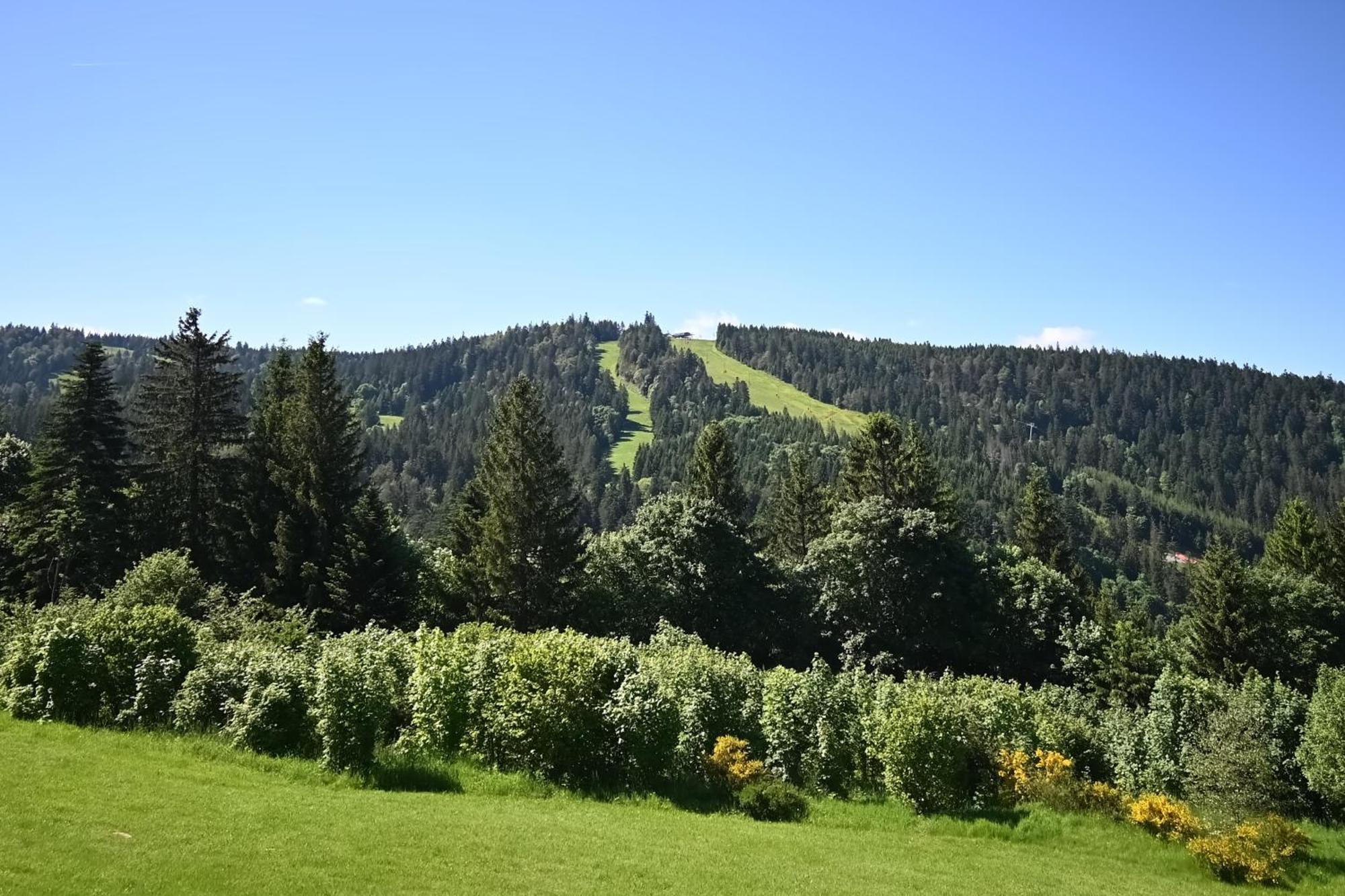 Appartamento Le Nid Des Vosges - Appt Vue Montagne Gérardmer Esterno foto